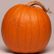 Pumpkin Orange